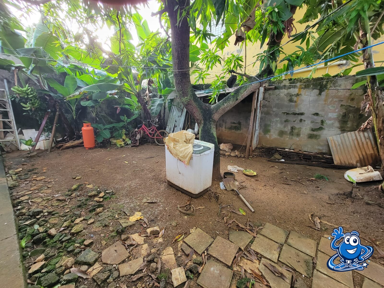 Foto 2